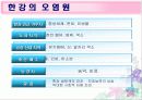 (수질오염) 한강의 수질 상태와 문제점 및 해결방안 모색 (고급 프레젠테이션) 6페이지