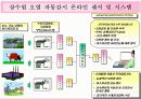 (수질오염) 한강의 수질 상태와 문제점 및 해결방안 모색 (고급 프레젠테이션) 10페이지