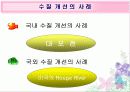 (수질오염) 한강의 수질 상태와 문제점 및 해결방안 모색 (고급 프레젠테이션) 13페이지