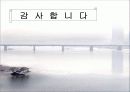 (수질오염) 한강의 수질 상태와 문제점 및 해결방안 모색 (고급 프레젠테이션) 18페이지