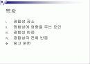 광합성(Photosynthesis)에 관해 2페이지