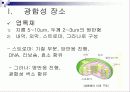 광합성(Photosynthesis)에 관해 3페이지