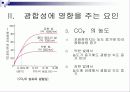 광합성(Photosynthesis)에 관해 6페이지