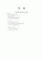 경찰개혁과 치안행정구조의 변화 1페이지