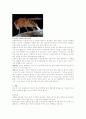 초파리[small fruit flies]에 대해 1페이지