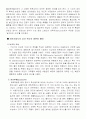 아이언 마스크의 복식 2페이지