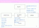 기업_산업분석_까르푸의 글로벌 경영전략 7페이지