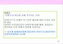 기업_산업분석_까르푸의 글로벌 경영전략 19페이지