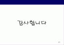 기업_산업분석_까르푸의 글로벌 경영전략 27페이지