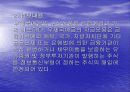 비은행예금 취급기관 13페이지