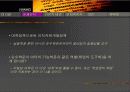 인적자원개발 교육정책의 근본 문제 연구 - 대학교육 중심 10페이지