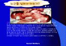사회복지 실천론 11페이지