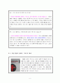 통일을 위한 독일 탐방 6페이지