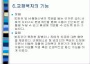교정 복지 13페이지