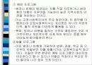 교정 복지 33페이지