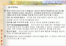 카리스마적 리더십 11페이지