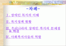 장애인 복지 2페이지