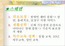 장애인 복지 23페이지
