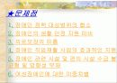 장애인 복지 25페이지