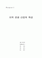 [관광경제학]관광경제론-지역관광산업의 육성 1페이지