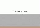 칠성 사이다 마케팅 사례조사 3페이지