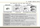 칠성 사이다 마케팅 사례조사 6페이지