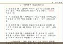칠성 사이다 마케팅 사례조사 15페이지