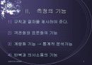 사회복지조사방법론 4페이지