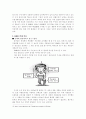 유전자 변형식품(GMO)에 대해서 4페이지