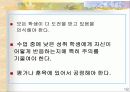 피그말리온효과와 교육적 적용 18페이지