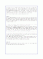CRM의 개념분석과 기업적용사례 13페이지