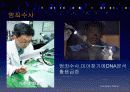 인간유전체다양성프로젝트 PPT 자료 17페이지