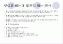 중년 여성의 비만 25페이지