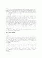 [논문] 간호이론가 10페이지