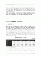 the face shop의 해외진출 6페이지
