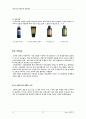 the face shop의 해외진출 32페이지