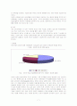 디지털경제와 인터넷방송 8페이지