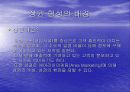 서울의 상권형성 3페이지