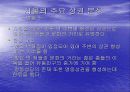 서울의 상권형성 12페이지