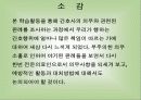 간호윤리와 법 26페이지
