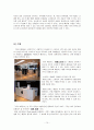 아이포드(아이팟)마케팅전략 분석 (A+레포트) 10페이지