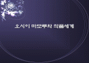 오시이 마모루와 그의 작품세계 1페이지
