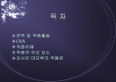 오시이 마모루와 그의 작품세계 2페이지