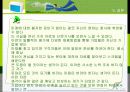 채용시험과 면접 사례 51페이지