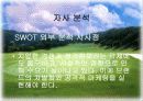 브랜드 마케팅 - 빈폴 골프웨어의 마케팅 전략 분석 및 의의 8페이지