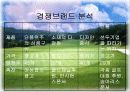 브랜드 마케팅 - 빈폴 골프웨어의 마케팅 전략 분석 및 의의 11페이지