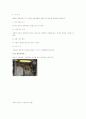한국인의 혼례제도 12페이지