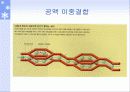 전도성 고분자 5페이지