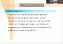 도요타의 글로벌 마케팅 전략과 렉서스의 성공신화 분석(A+자료) 3페이지