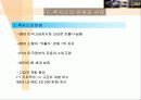 도요타의 글로벌 마케팅 전략과 렉서스의 성공신화 분석(A+자료) 7페이지